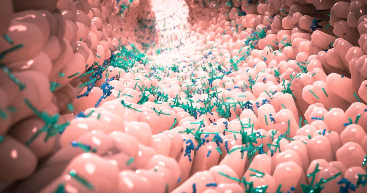 Gut microbes and IBS Medical Imaging Partnership